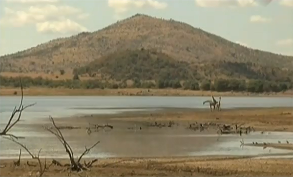 Safari pietinėje Afrikoje