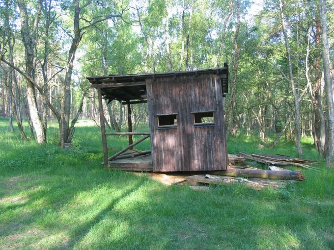 Siekiama uždrausti medžioklę gamtiniuose rezervatuose