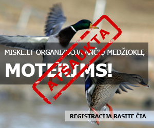 Miske.lt organizuoja ančių medžioklę moterims!