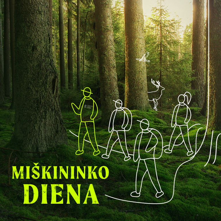 Pažintis su miškininkų saugomomis gamtos vertybėmis – rugsėjį į miškus kviečia daugiau nei 30 unikalių Miškininko dienos renginių