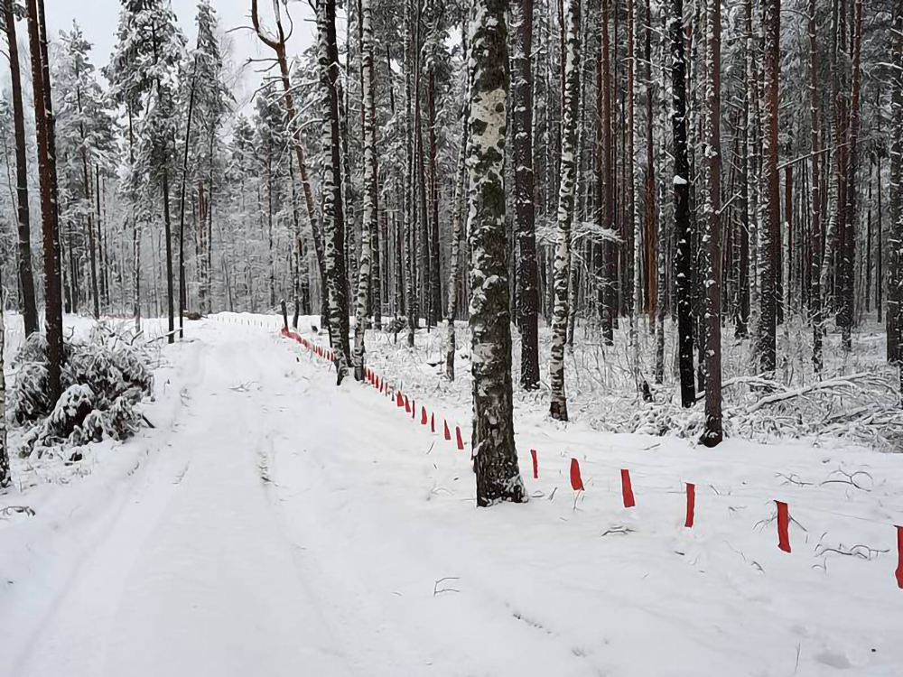 Dėl vilkų medžioklės su vėliavėlėmis teisinio reglamentavimo ir taikymo praktikoje