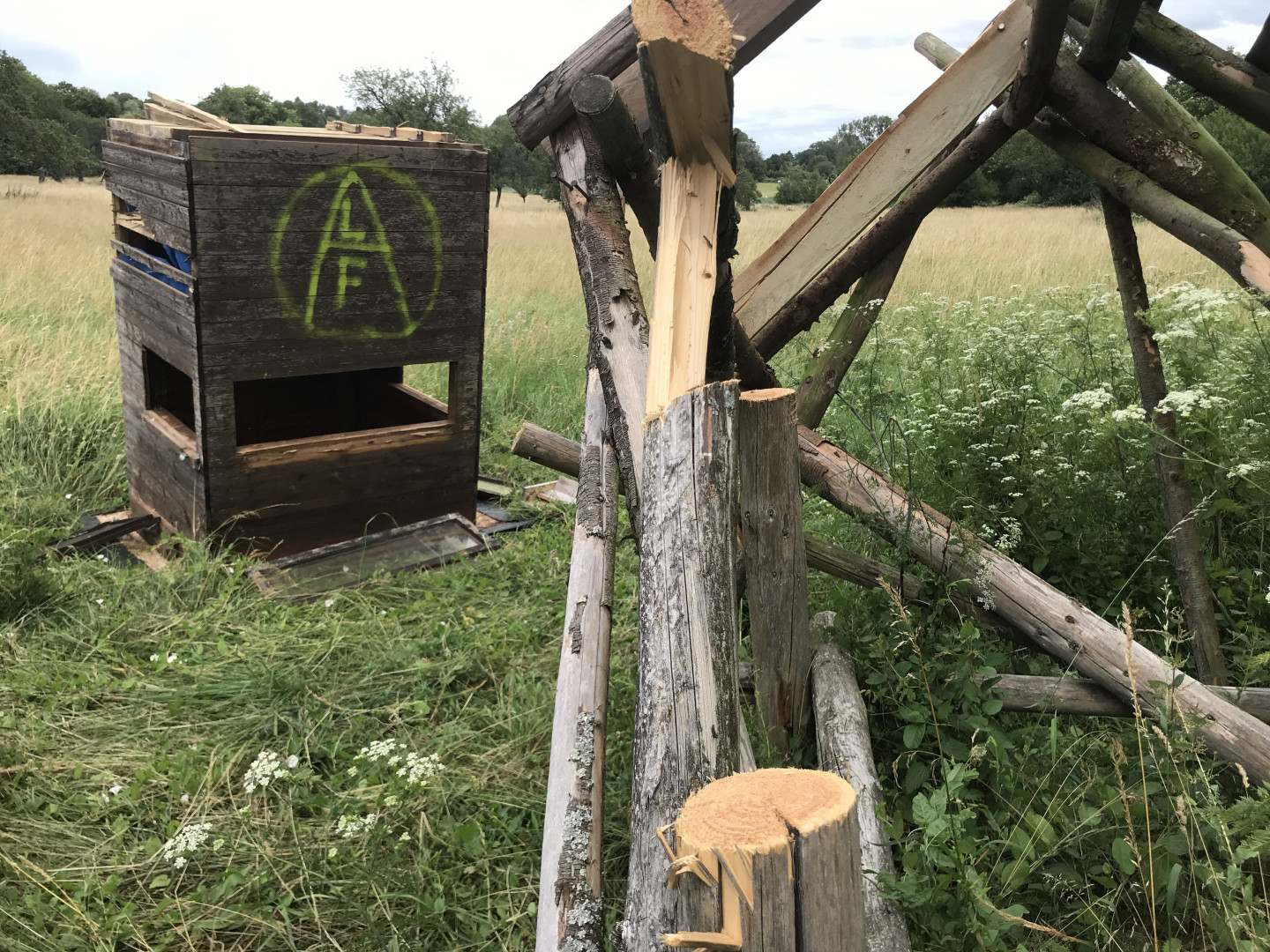 Žaliųjų projektas Lenkijoje: taikinyje – medžioklė ir jos kultūra