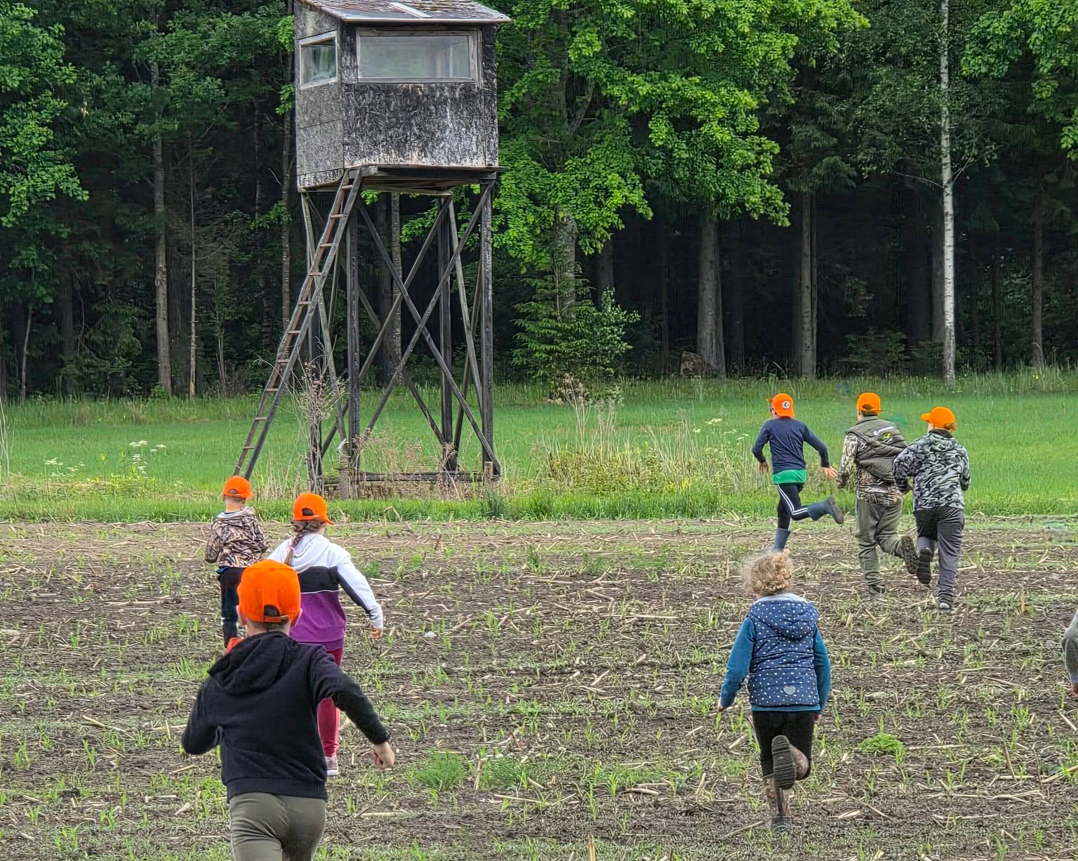 Ekranus keis miško paklotė: šalyje vykdoma iniciatyva „Vaikai gamtoje“ grąžina mokinius prie tikrų patirčių